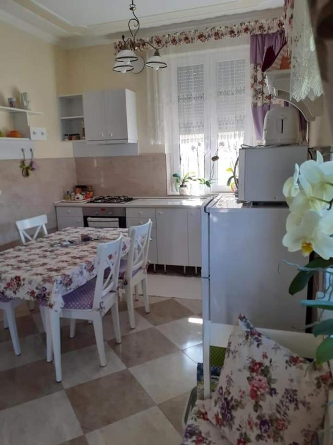 Aranyoshaz-Vendeghaz Daire Budapeşte Dış mekan fotoğraf