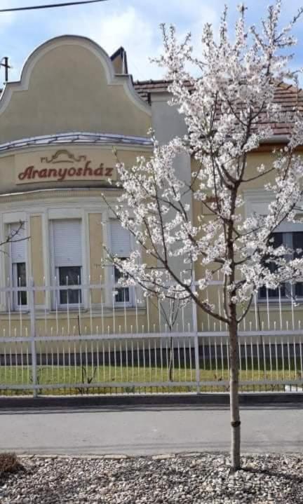 Aranyoshaz-Vendeghaz Daire Budapeşte Dış mekan fotoğraf